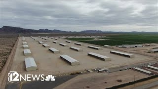 Arizona AG Mayes targets Saudi farms as nuisances over water use [upl. by Wolf894]