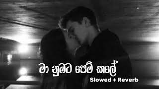 මා නුඹට පෙම් කලේ  Maa nubata pem kale Slowed  Reverb [upl. by Feldt168]