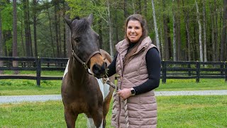 Virginia Equine LLC  Meet the Vet Laura Patteson Wornom [upl. by Azaleah]