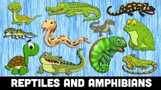 REPTILES for Kids  Learn REPTILES and AMPHIBIANS animals Names for Kindergarten [upl. by Cerell]