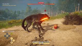 AC Odyssey Lykaon Wolf Legendary Animal 2K60fps [upl. by Timmi]