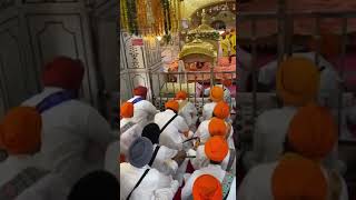 So many young children for Amrit Sanchar at Sachkhand Sri Hazur sahib [upl. by Aileek195]