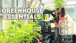 Essential Tips amp Supplies for Beginner Greenhouse Gardeners [upl. by Iaw]