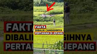 Fakta Dibaliknya Canggihnya Teknologi Pertanian di Jepang‼️ [upl. by Nylarat559]