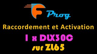 1 paire de DLX30C sur ZL65 CAME [upl. by Siron]