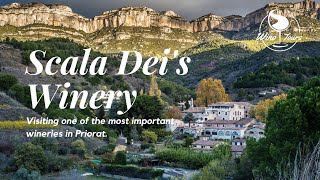 Visiting Scala Deis winery in the Priorat [upl. by Baxy]