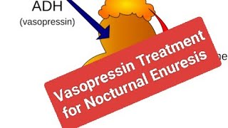 Drug Treatment for Nocturnal Enuresis Vasopressin [upl. by Melliw]