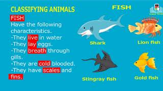 classifying animals  classification of animals class order division of animals and types [upl. by Toni]