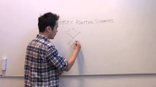 What are complex adaptive systems [upl. by Shepp]