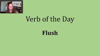 Verb of the Day  Flush [upl. by Eneles]