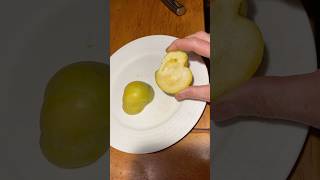 Fournoy White Sapote [upl. by Ida]