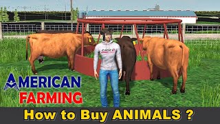 How to Buy Animals in American Farming  BUYING A COW [upl. by Zetnwahs]