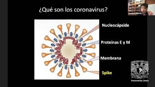 Reforzamiento de medidas de prevención de COVID 19 [upl. by Vernice]