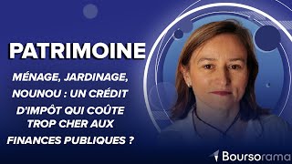 Ménage jardinage nounou  un crédit dimpôt qui coûte trop cher aux finances publiques [upl. by Hinckley980]