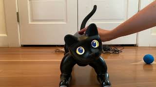 MarsCat Robotic Cat Unboxing and First Impressions [upl. by Banquer]