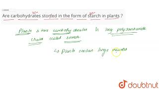 Are carbohydrates storted in the form of starch in plants   CLASS 10  NUTRITION  BIOLOGY [upl. by Krenek]