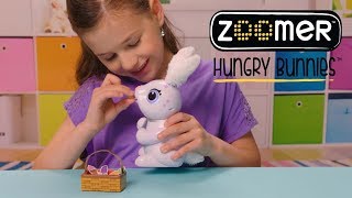 Zoomer  Hungry Bunnies  How To [upl. by Gerfen]