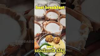 Mysore Halli hatti hotel idlichutney vegetarian villagefood mysorefood chamundeshwari temple [upl. by Audly]