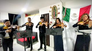 Mariachis en Quito quotViva Guadalajaraquot  Popurrí Abrázame Cielo rojo No me sé rajar [upl. by Ahseinek]