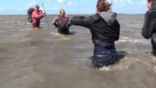 waddenzeehike end this is what you get p [upl. by Alicia507]