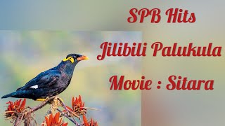 Jilibili Palukula Song  Sitara Movie spbhits spbalasubramaniamsongs ilayaraja by MadhaviPradeep [upl. by Sturdivant]