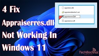 Fixing Appraiserdll Error in Windows 11 A StepbyStep Guide [upl. by Nnylyt]