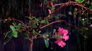 Goodbye Anxiety And Sleep Peacefully With Heavy Rain amp Thunder Sounds [upl. by Ahsotal]