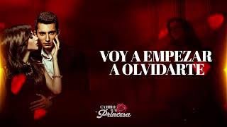 Banda Selectiva  Cambio De Princesa Video Lyric [upl. by Robert]