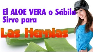 El Aloe Vera Sirve Para la HERNIA HIATAL Un Remedio Natural para la hernia de hiato es la Sábila [upl. by Iruam]