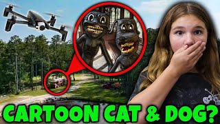 Drone Catches Cartoon Cat and Dog [upl. by Nessaj]