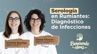 Fundamentos y utilidad de la serología en el diagnóstico de enfermedades infecciosas en rumiantes [upl. by Noirb955]