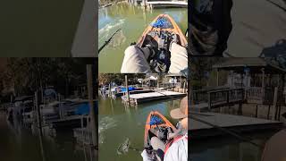 Shallow Water Fall Bass bassfishing kayaktournamentfishing lakenorman [upl. by Renick]