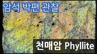 암석 천매암 박편 관찰하기 Phyllite thin section [upl. by Ogir]