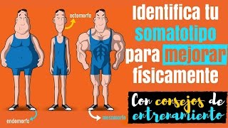 Identifica tu somatotipo para mejorar físicamente Con consejos de entrenamiento [upl. by Johppah822]