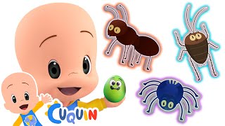 Surprise Eggs Insects  Learn with Cuquin [upl. by Alegnatal]