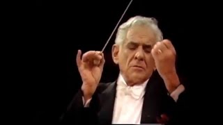 Gustav Mahler  Adagietto  Leonard Bernstein 4K [upl. by Itra]