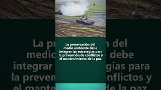 Día D • Día para la Prevención de la Explotación del Medio Ambiente en Guerra y Conflictos Armados [upl. by Keary]