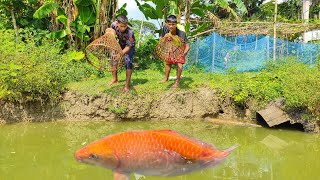 Exploring a Secret Pond with Fish [upl. by Matuag]