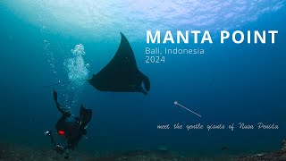 Diving at Manta Point Bali  Indonesia 2024 [upl. by Ellerehc]