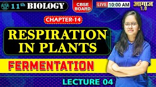 CBSE BOARD  CLASS 11TH BIOLOGY  RESPIRATION IN PLANTS fermentation  LEC  04  A K EDUCATION [upl. by Effy327]