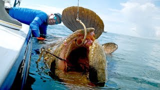 Caught a Monster Grouper that Weighed MORE than the BOAT [upl. by Ydnar795]