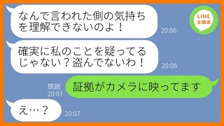 【LINE】何度も注意してるのに勝手に人の家の日用品を持ち去るママ友「どうせ勘違いでしょうｗ」→パクリ常習犯の非常識女がまた持ち帰ろうとしたので罠を仕掛けてやった結果…w【スカッとする話】【総集編】 [upl. by Fawcette]