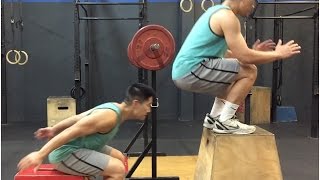 Jump Higher with PAUSE SQUATS  SEATED BOX JUMPS Complex [upl. by Irvin]