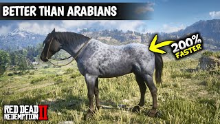 5 Horses Faster than Arabians amp Get them as Arthur Early  Red dead redemption 2 [upl. by Pish]