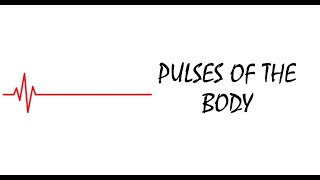 Palpatory pulses of entire body [upl. by Doreg]