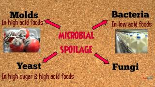 MICROBIAL FOOD SPOILAGE  VEGETABLES AND FRUITS MCQS  FSSAI  TN MRB FSO EXAM  FOOD SCIENCE [upl. by Adnalay]