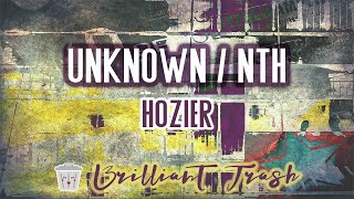 Hozier  Unknown  Nth karaoke [upl. by Enihpled]