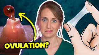 Doctor Answers Top 5 Ovulation Questions  Are you even ovulating [upl. by Alin785]