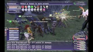 FFXI  How and Why to Do Domain Invasion [upl. by Arfihs]