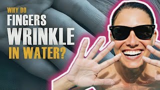 💧 Why Do Fingers Wrinkle in Water  14 Amazing Facts About the Human Body 🌟🧠 [upl. by Rise]